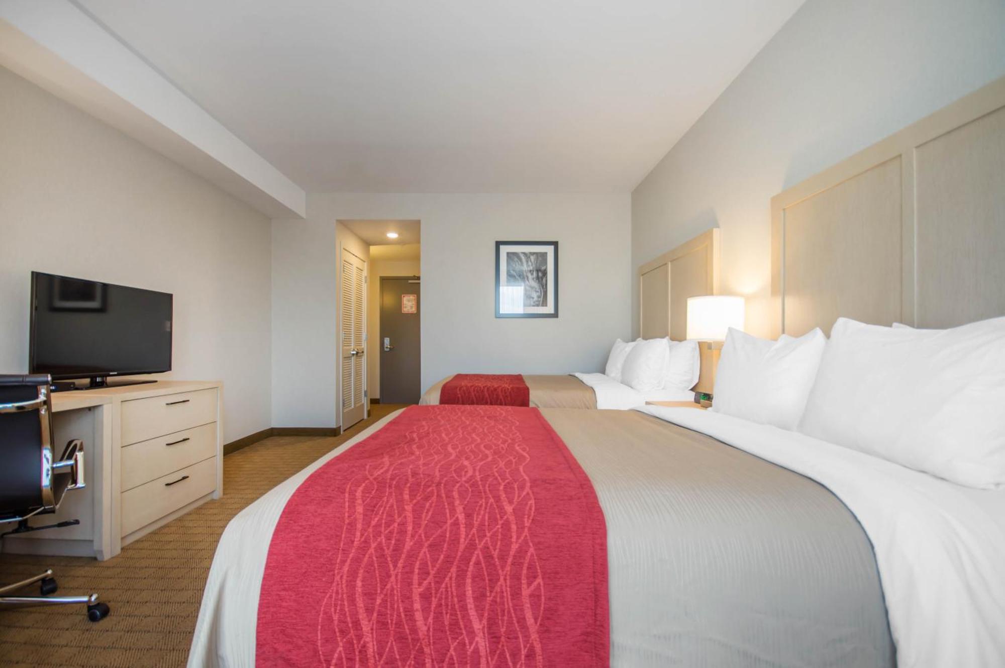 Standard Queen Room with Two Queen Beds,705114667:JPEG